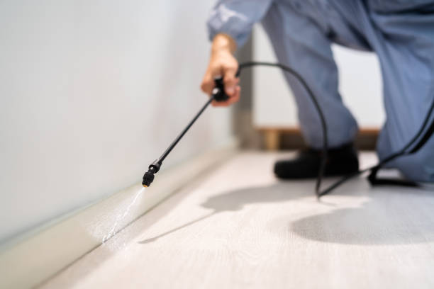 Licensed Termite Control service in Captains Cove, VA - Nex Pest Control