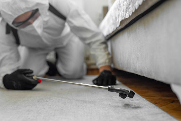 Professional Termite Control technician working in Captains Cove, VA