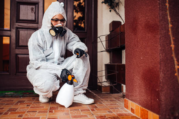 Reliable Termite Control contractor in Captains Cove, VA by Nex Pest Control