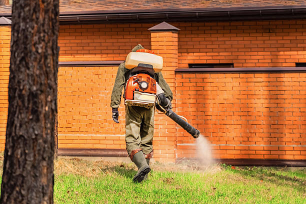 Trusted Termite Control service in Captains Cove, VA - Nex Pest Control